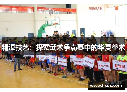 精湛技艺：探索武术争霸赛中的华夏拳术